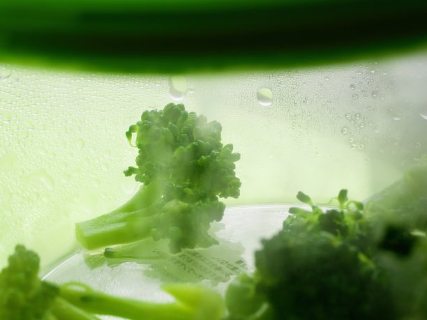 冰箱里鲜亮的西兰花图片下载