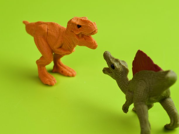 霸王龙和棘龙在绿色背景下战斗图片下载