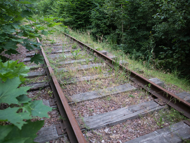 树林中废弃的老式铁路图片下载
