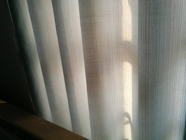 透明的窗帘，柔和的光线透过窗户。图片下载