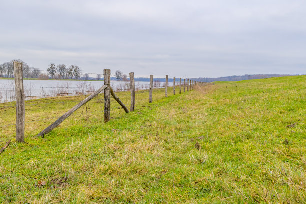 荷兰草地，绿草，铁丝网栅栏和马斯河，很少有树在背景图片下载