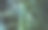 摘要线数据背景图片下载