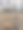 在公园种树图片下载