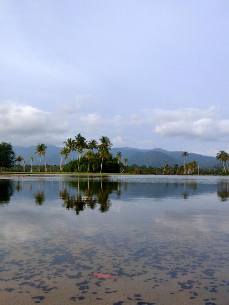 反射的水图片下载