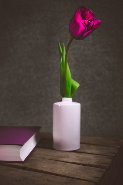 静物摄影一朵花在一个白色花瓶在一个老酒盒与一本书图片下载