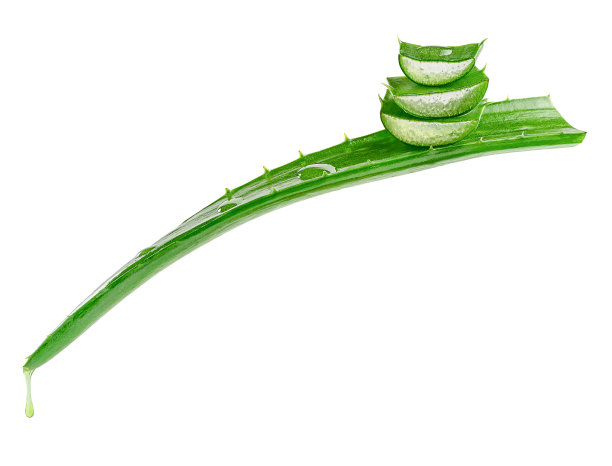 芦荟叶并切成片图片下载
