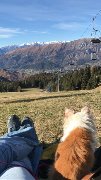 我的爱图片下载