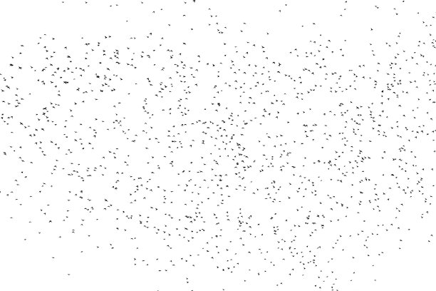白色背景上的一大群椋鸟，在白色上分开图片下载