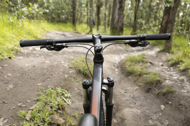 在森林中发现的自行车，生活方式图片下载