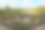 花园里的迷宫。图片下载
