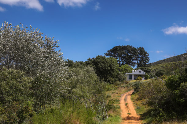 乡村风格的建筑。图片下载