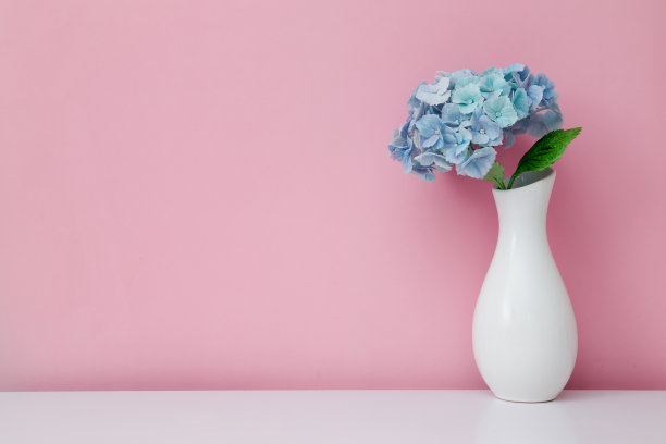 花瓶和绣球花放在粉红色背景的桌子上。室内极简主义图片下载