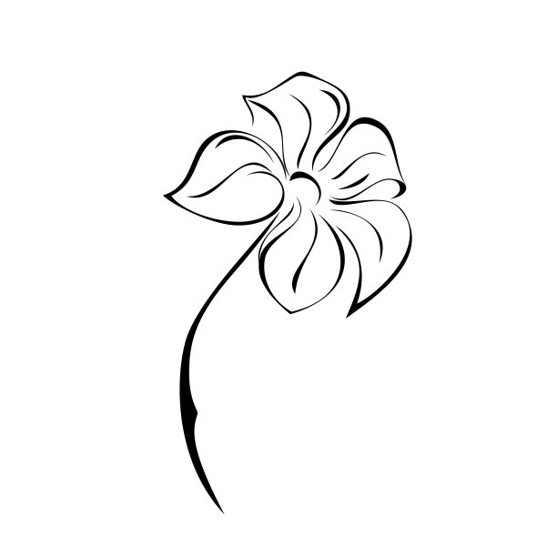 盛开的花154图片下载