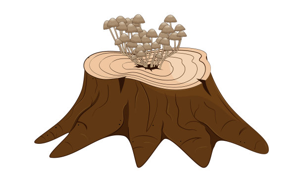 蘑菇树桩图片下载