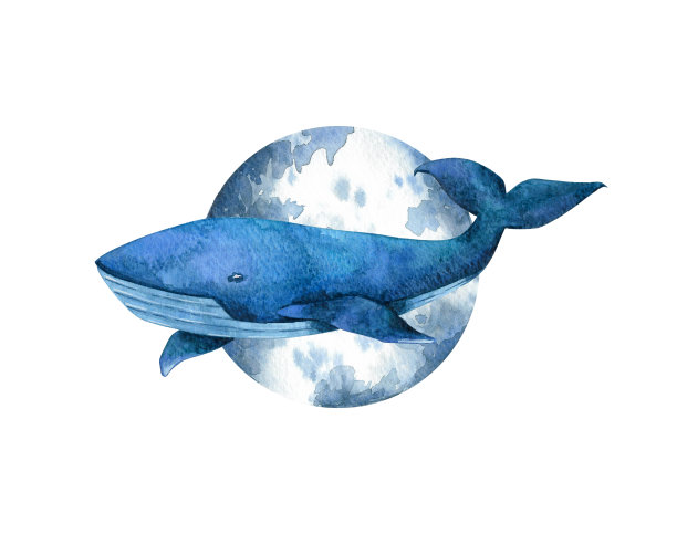 月亮鲸鱼卡图片下载