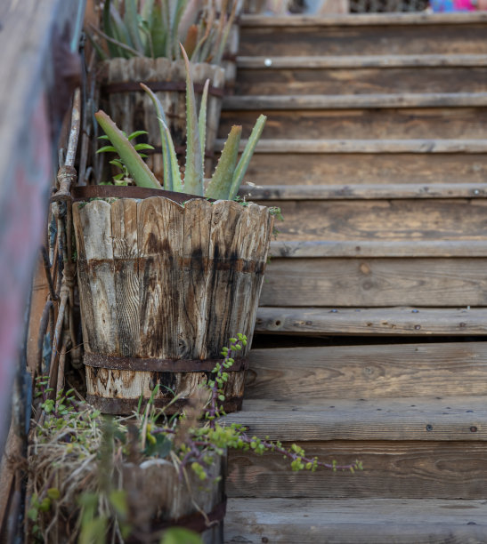 木台阶上的老式木制盆栽特写图片下载
