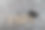 毕业2021木数字2021戴着研究生帽在闪亮的背景俯视图图片下载
