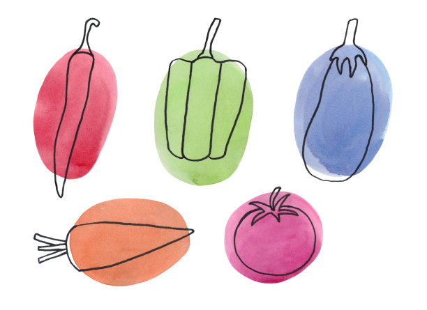 在水彩背景上用线条画出的蔬菜。图片下载