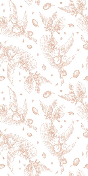 古刻咖啡枝图案。图片下载