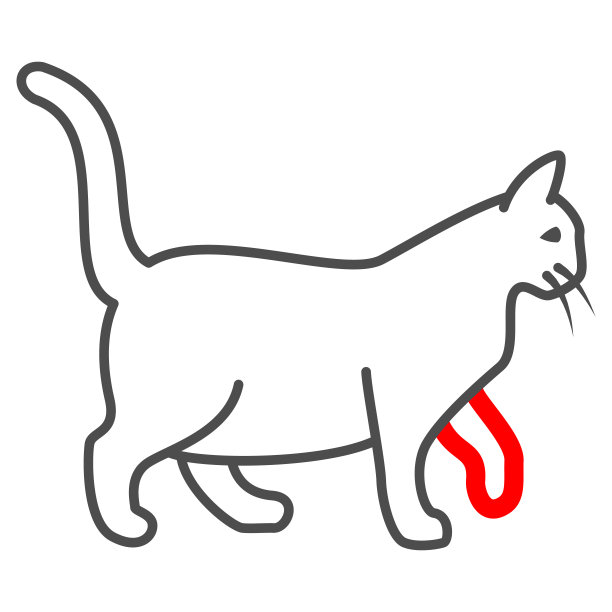 生病的爪子在猫细线图标，疾病的宠物概念，猫爪子与绷带标志在白色的背景，生病的小猫图标轮廓风格的移动概念和网页设计。矢量图形。图片下载