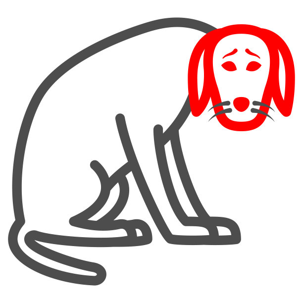 犬瘟热的狗线图标，疾病的宠物概念，犬瘟热标志在白色的背景，瘟疫的狗图标在轮廓风格的移动概念和网页设计。矢量图形。图片下载