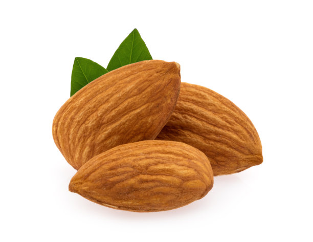白色背景上孤立的杏仁图片下载