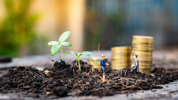 男人和女人检查小树的质量与金币堆叠的背景图片下载