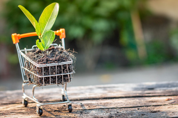 树木生长在堆肥和迷你购物车上图片下载