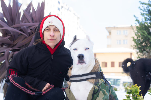 狗和人在雪地里散步图片下载