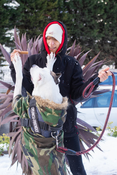 狗和人在雪地里散步图片下载