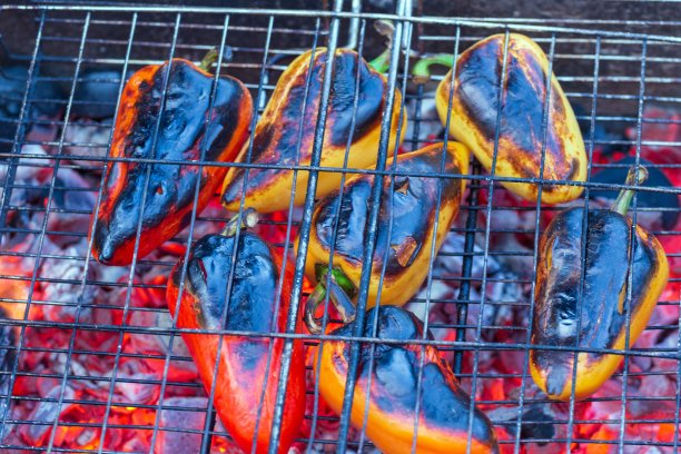 是烧烤时做的吗图片下载