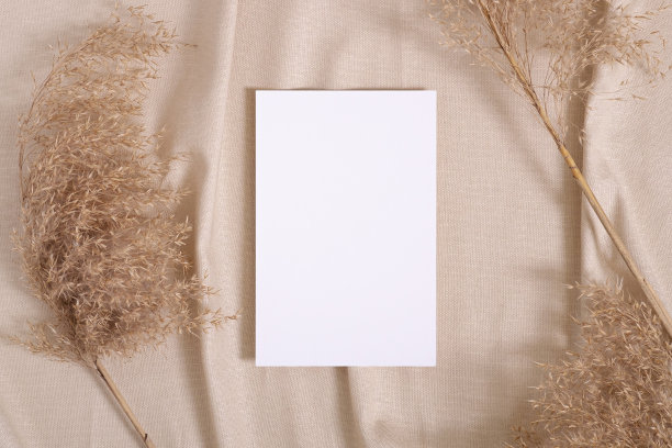 白色空白纸卡模型pampas干草米色中性纺织品图片下载