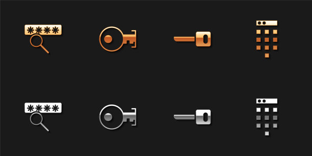设置密码保护、密钥和图标。向量图片下载