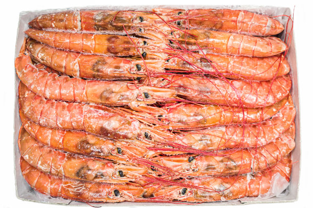 一包大冻海螯虾图片下载