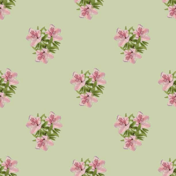 杜鹃花植物格局图片下载