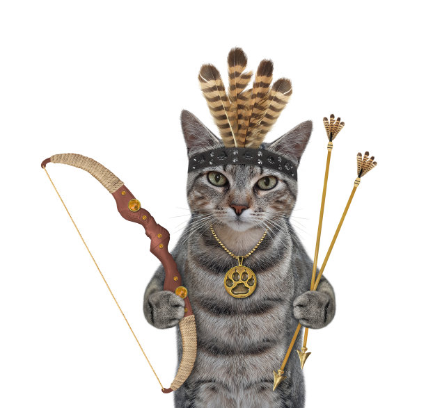猫灰印第安人拿着箭和弓图片下载