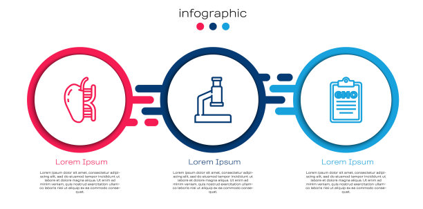 基因改良苹果，显微镜和转基因。业务信息模板。向量图片下载