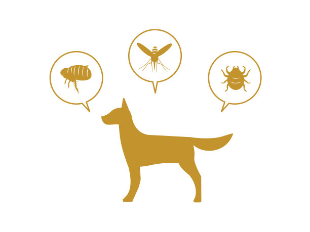狗及害虫插图图片下载