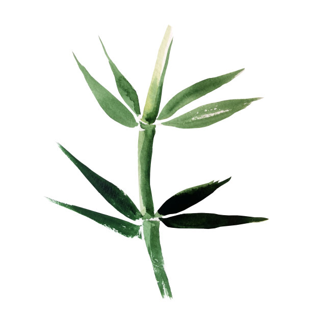 竹画水彩画仿东方绘画图片下载