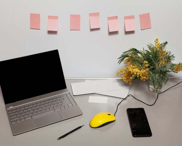 一堆含羞草和笔记本电脑。附近的电话图片下载