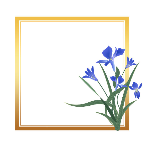 元素清新兰花边框图片下载