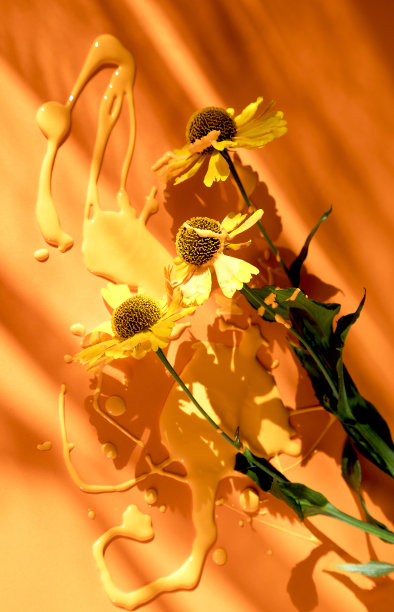 橘黄色的背景上，橘黄色的花浸透在橘黄色的颜料里，背景上有阳光的阴影和眩光。垂直方向图片下载