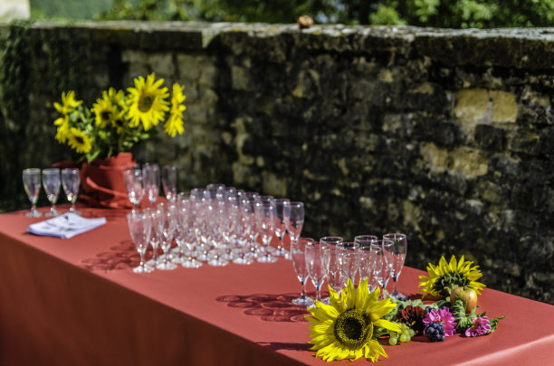 一个美丽的表图片下载