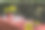 一个美丽的表图片下载