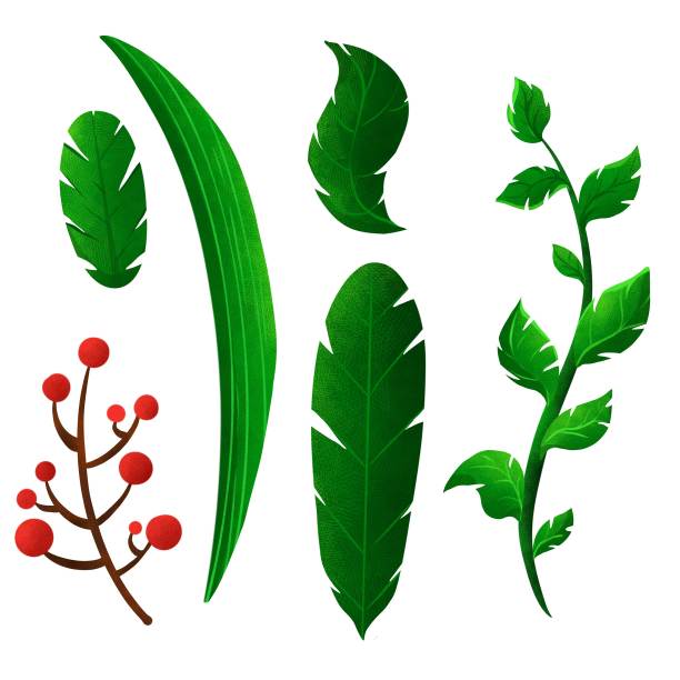 元素插画风格的叶子图片下载