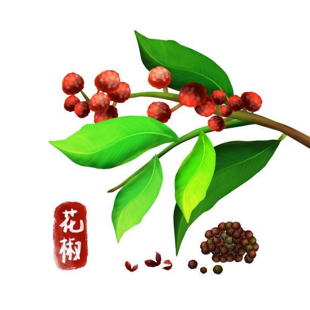原创中药花椒图片下载