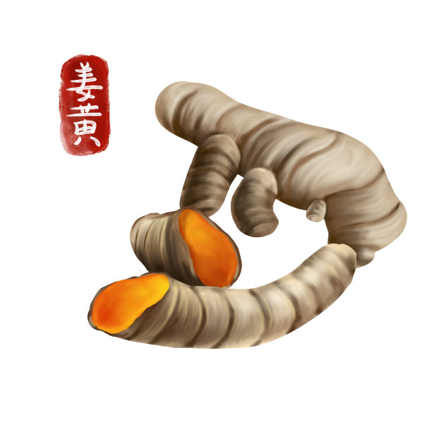 原创中药姜黄图片下载