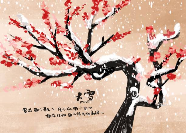 手绘节气大雪冬季梅花盛开图片下载