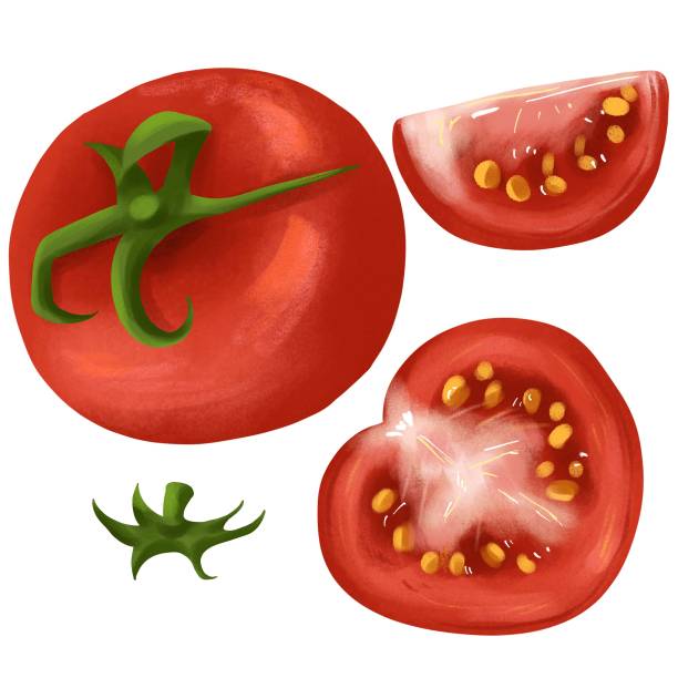 手绘西红柿番茄图片下载