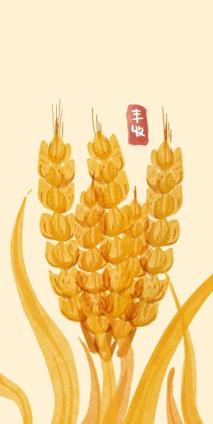 手绘水彩水稻图片下载